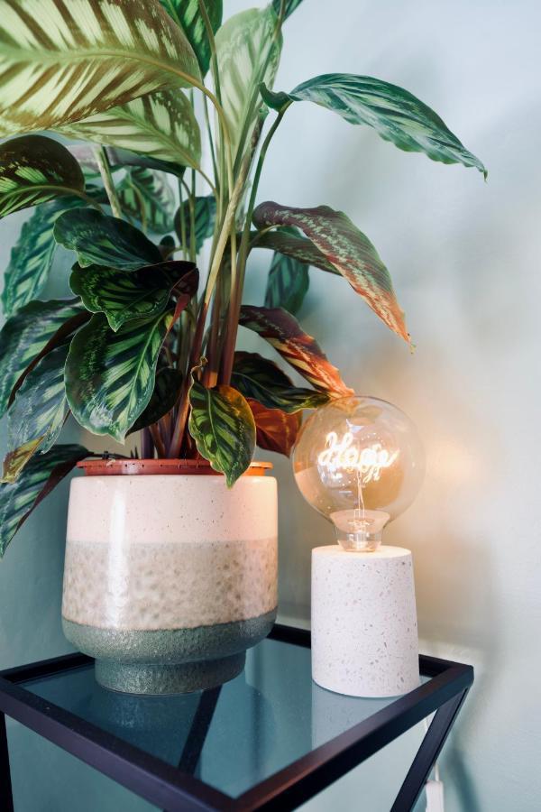 New ! Superbe Studio Vieux Nice - Climatise Luaran gambar